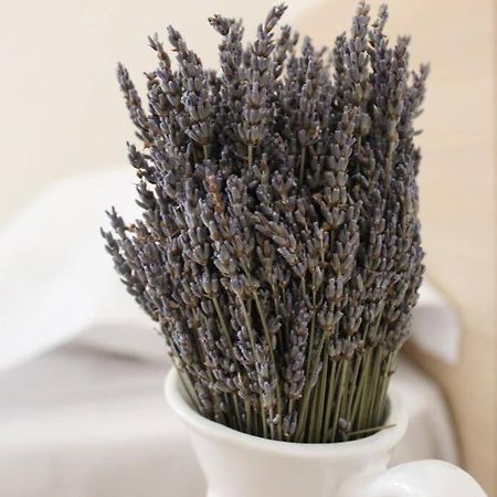 Lavandula Ring Tirana Buitenkant foto