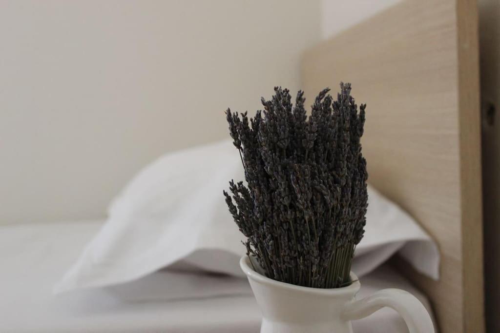 Lavandula Ring Tirana Buitenkant foto