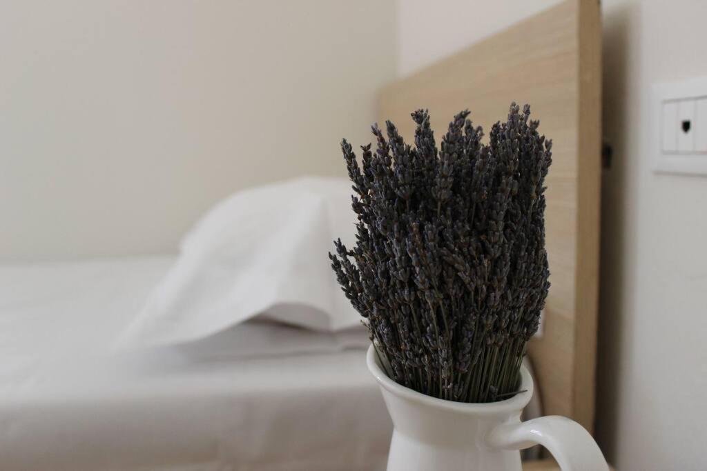 Lavandula Ring Tirana Buitenkant foto